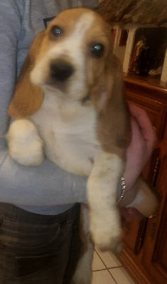 Ushka